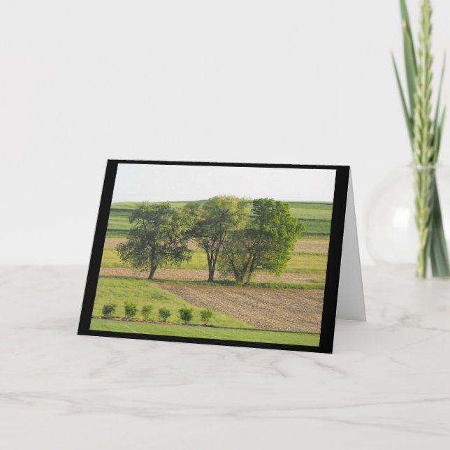 Frühjahr 16 ~ '10 ~ feiertagskarte (Vorderseite)