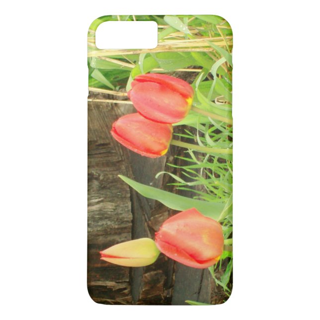 Frühjahr 2 iPhone/iPad Gehäuse Case-Mate iPhone Hülle (Rückseite)