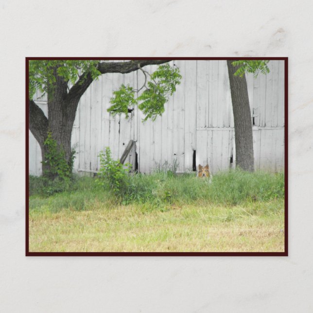 ~ Frühjahr 36 ~ Postkarte (Vorderseite)