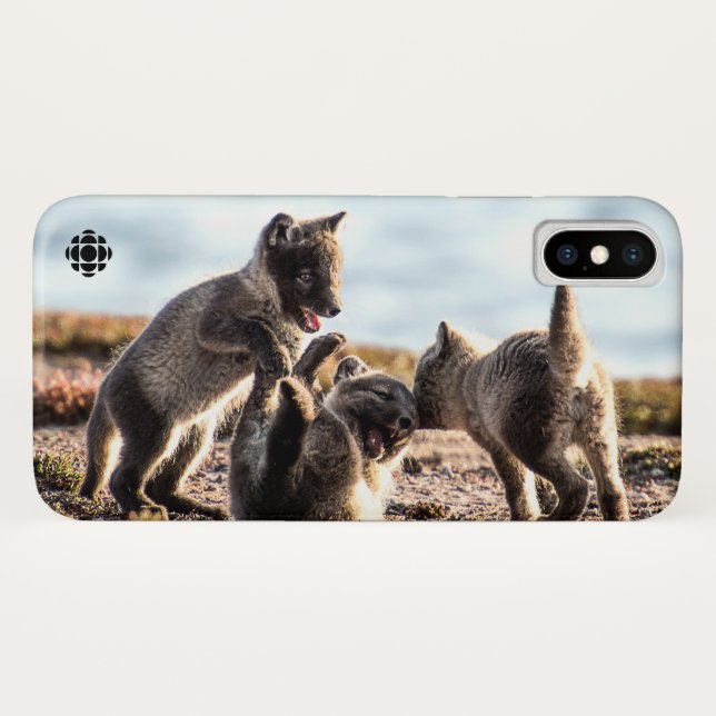 Frühjahr - Arctic Fox Case-Mate iPhone Hülle (Rückseite (Horizontal))