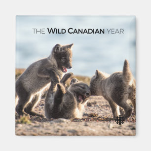 Frühjahr - Arctic Fox Magnet