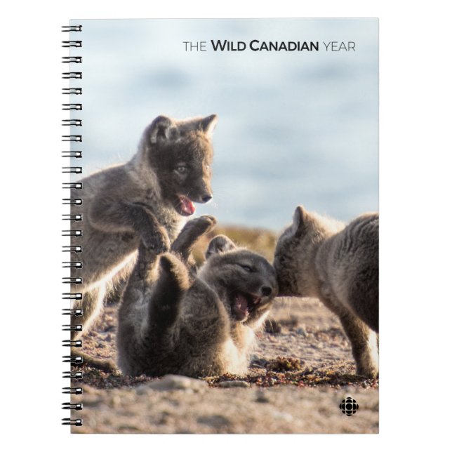 Frühjahr - Arctic Fox Notizblock (Vorderseite)