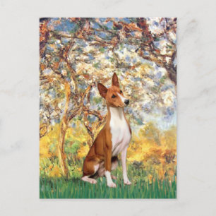 Frühjahr - Basenji Postkarte
