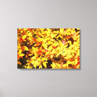 Frühjahr bei Arboretum 6 Leinwanddruck