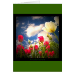 Frühjahr-Blumen-Sammlung I