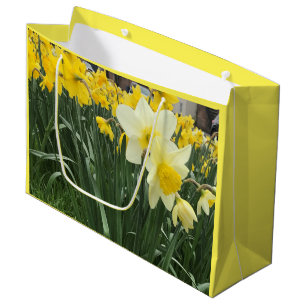 Frühjahr Daffodia groß Große Geschenktüte