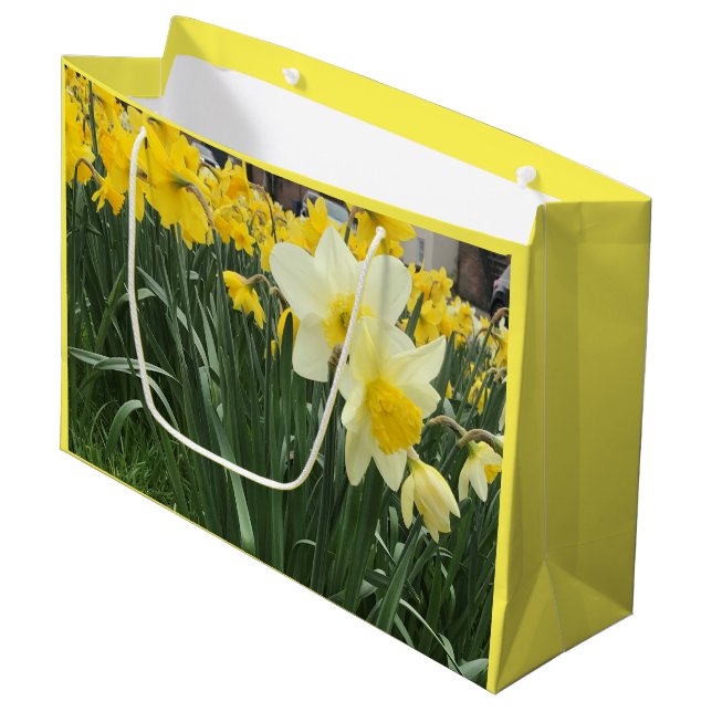 Frühjahr Daffodia groß Große Geschenktüte (Vorderseite Schrägansicht)