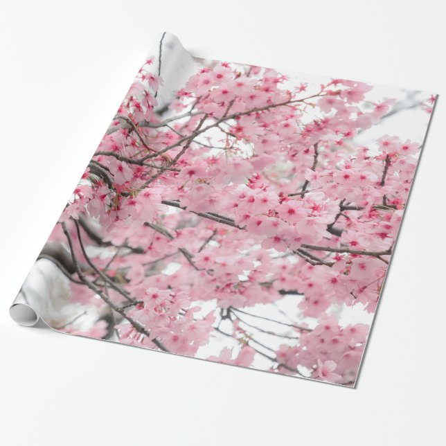 Frühjahr Hanami Festival, Kirschblüten Geschenkpapier (Ungerollt)
