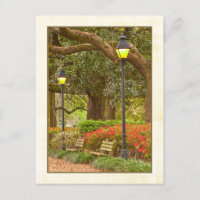 Frühjahr in Forsyth Park - Savannah, GA