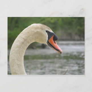 Frühjahr in Framingham 2 Postkarte