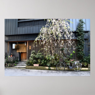 Frühjahr in Tokio Poster