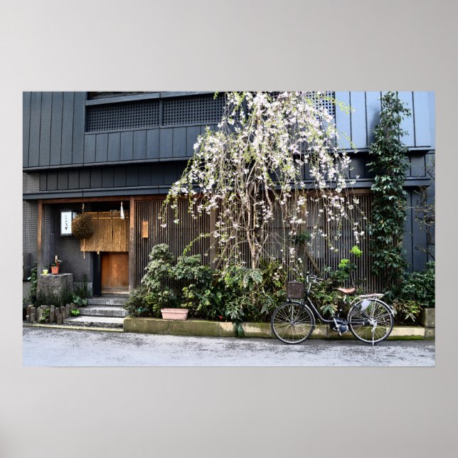 Frühjahr in Tokio Poster (Vorne)
