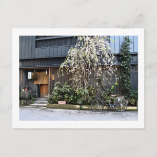 Frühjahr in Tokio Postkarte