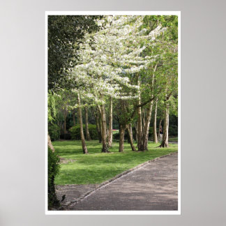 Frühjahr Irland Poster