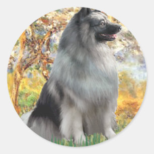 Frühjahr - Keeshond Runder Aufkleber