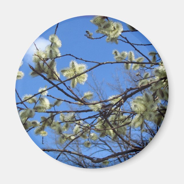 Frühjahr Magnet (Vorne)