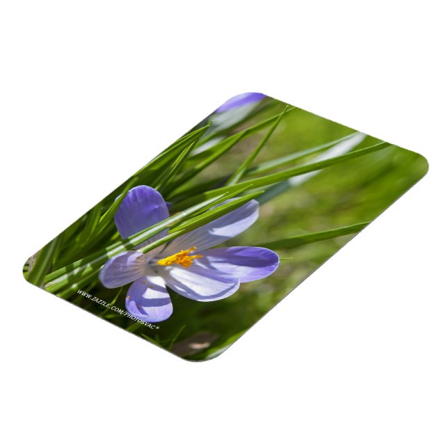 Frühjahr Magnet (Linke Seite)