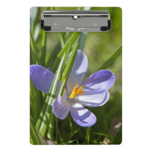 Frühjahr Mini Klemmbrett