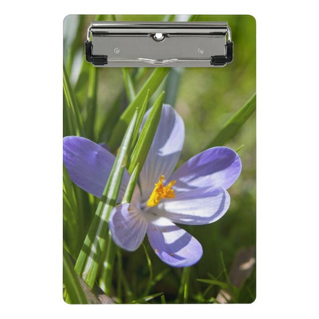 Frühjahr Mini Klemmbrett (Vorderseite)