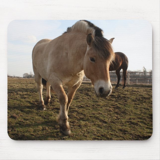 Frühjahr Mousepad (Vorne)