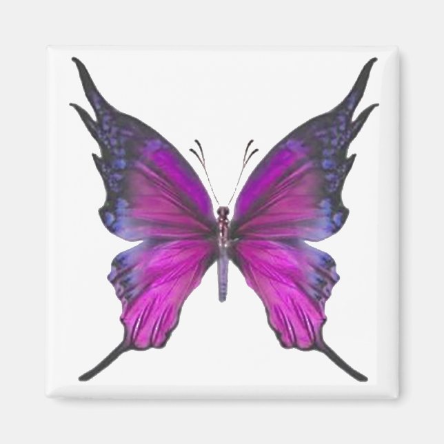 Frühjahr Myst 3 Magnet (Vorne)