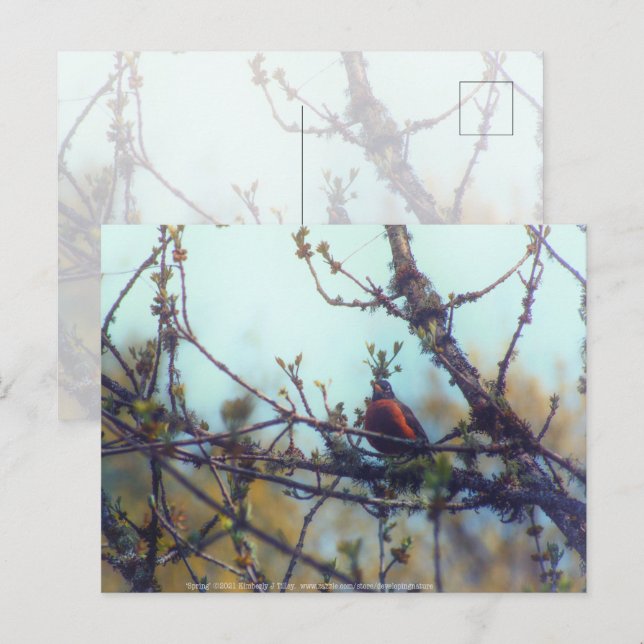 Frühjahr Postkarte (Vorne/Hinten)