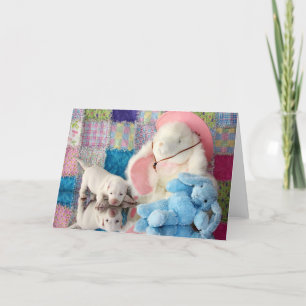 Frühjahr-Reflexion Karte