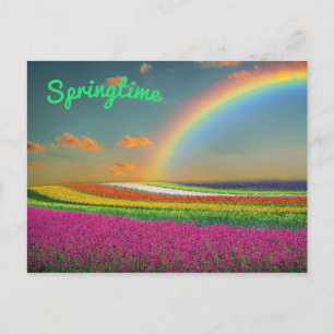 Frühjahr Regenbogen Lebhafte farbenfrohe Blume Postkarte