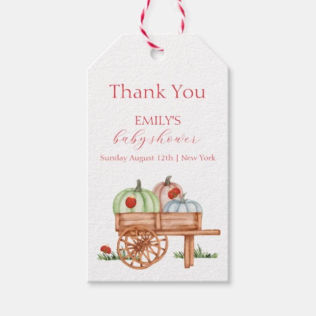 Frühjahr Rustikale moderne Pumpkin Labybug Baby Du Geschenkanhänger (Vorderseite)