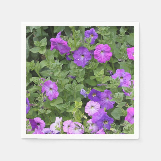 Frühjahr Sommer Floral Lila Petunia Blume Dekorati Serviette (Vorderseite)