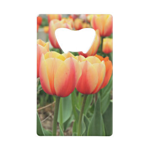 Frühjahr-Tulpen Geldbeutel Flaschenöffner