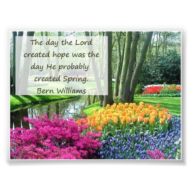 Frühjahr und Hoffnung Print Fotodruck (Vorne)