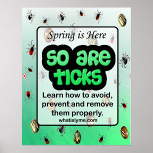 Frühjahr und Tick Lyme Disease Prevention Poster