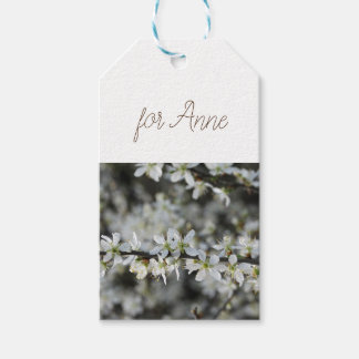 Frühjahr,Weißblüten Foto Geschenktasten Geschenkanhänger