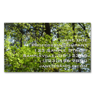 Frühjahrs-Ahornblätter Natur Magnetische Visitenkarte