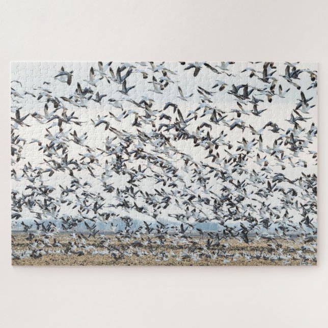 Frühjahrs-Migrationspuzzle Puzzle (Horizontal)