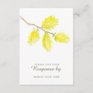 Frühjahrsantwort katkins gelb begleitkarte