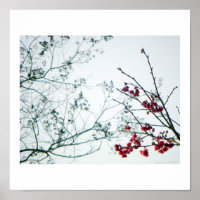 Frühjahrsauslauf/Kirschblüten Foto-Print