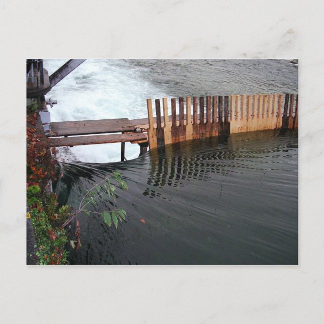 Frühjahrsauslauf Postkarte (Vorderseite)