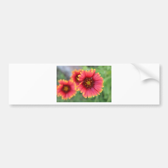 Frühjahrsblüte Pt 2 Autoaufkleber (Vorne)