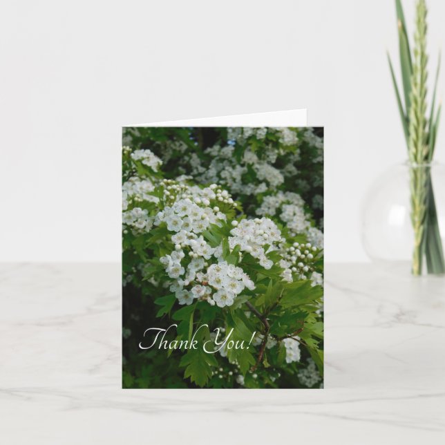 Frühjahrsblüte von Happyappolis Dankeskarte (Vorderseite)