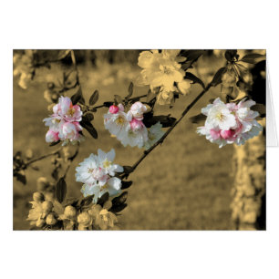 Frühjahrsblüten auf der Sepia-Blume-Karte