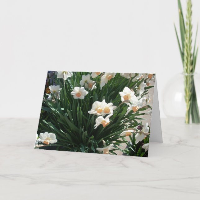 Frühjahrsblüten Drei Feiertagskarte (Vorderseite)