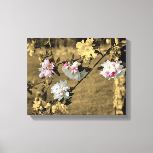 Frühjahrsblüten in Sepia teilweise Farbe Leinwanddruck (Vorderseite)