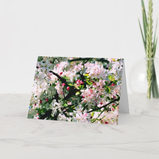 Frühjahrsblüten Karte (Vorderseite)