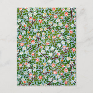 Frühjahrsblüten Postkarte