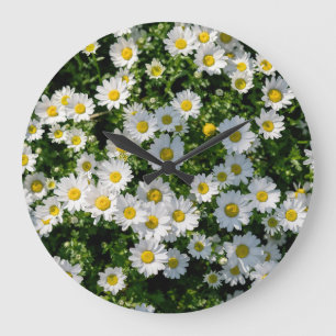 Frühjahrsdaisy Field: Serene Hintergrund Große Wanduhr