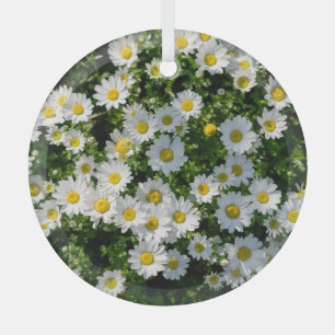 Frühjahrsdaisy Field: Serene Hintergrund Ornament Aus Glas
