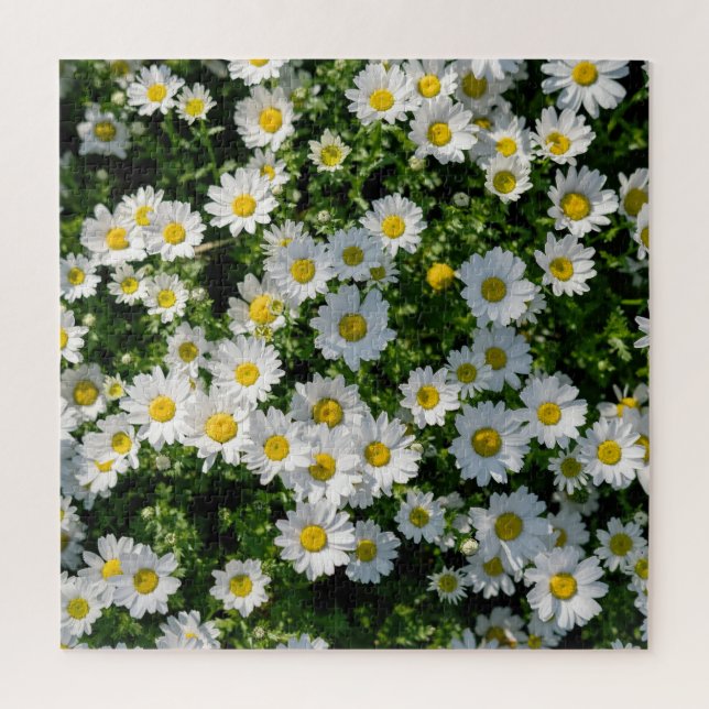 Frühjahrsdaisy Field: Serene Hintergrund Puzzle (Vertikal)