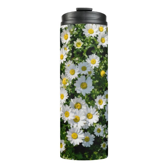 Frühjahrsdaisy Field: Serene Hintergrund Thermosbecher (Vorderseite)